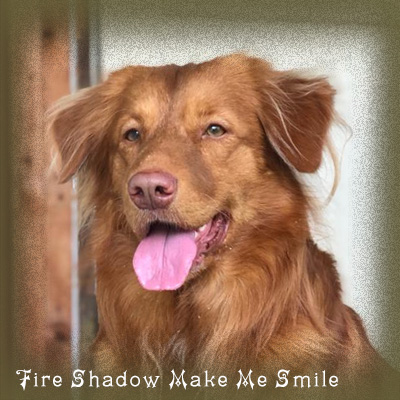 Ch Fire Shadow Make Me Smile