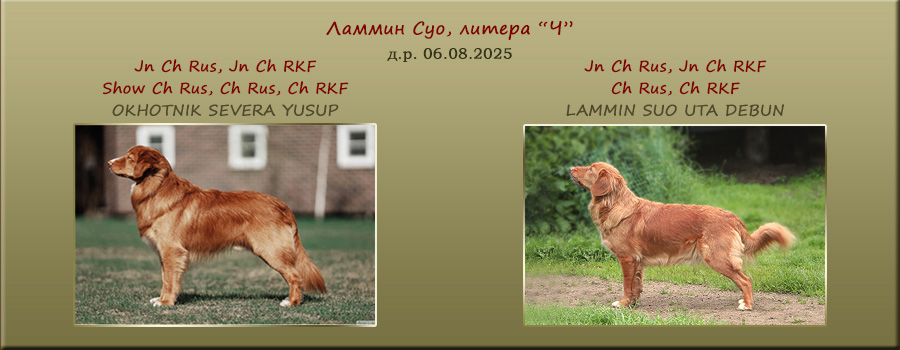 ����� ������� (���������������� ���������) �����-���������