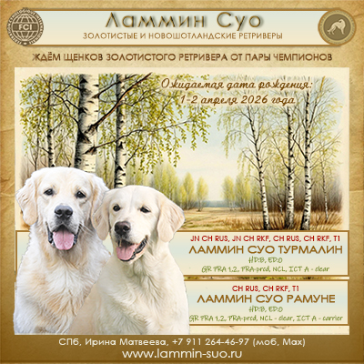 ����� ����������� ��������� ���