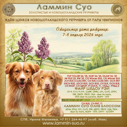 ����� ������� ���