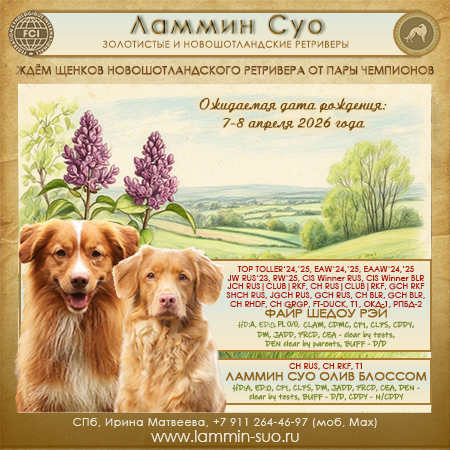 ����� ������� ���