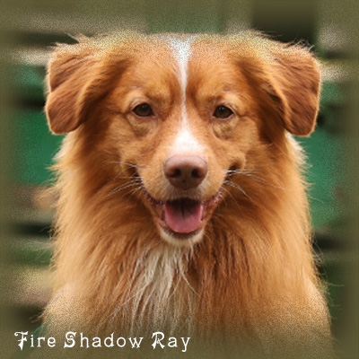 Ch Fire Shadow Ray