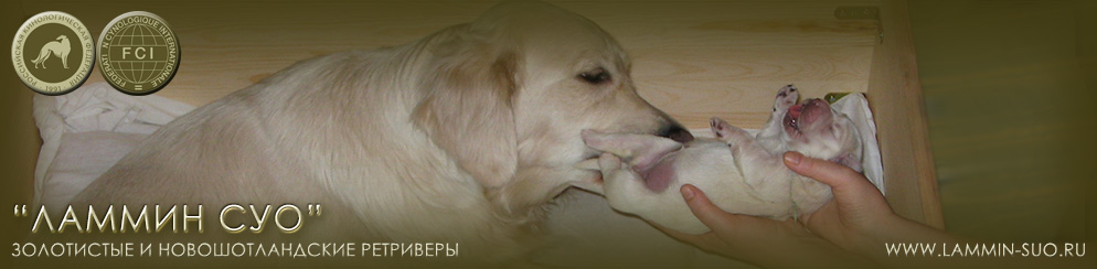 �������� ���������� � ��������������� ���������� "������ ���" (�����-���������)