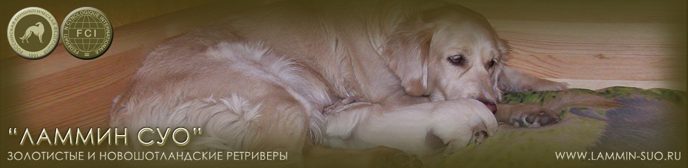 ���������� ���������� ���������� (������ ��� ������ �)