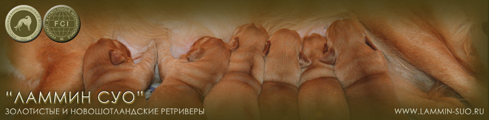 �������� ���������� � ��������������� ���������� "������ ���" (�����-���������)