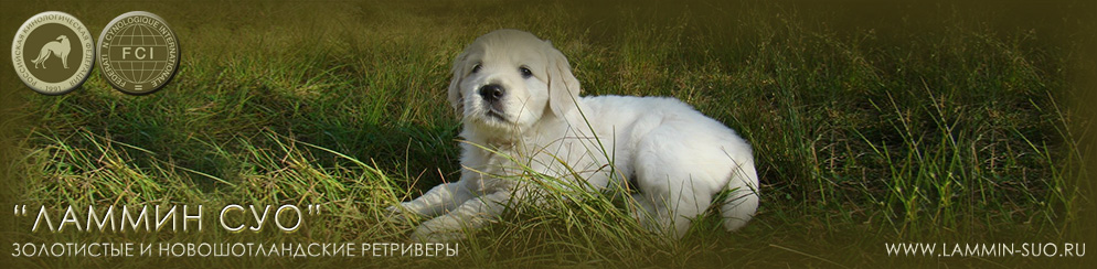 ���������� ��������� ������ �