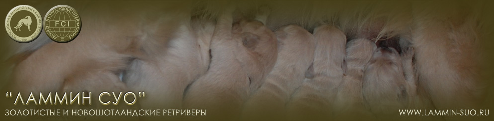 ���������� ��������� ������ ��� ������ �