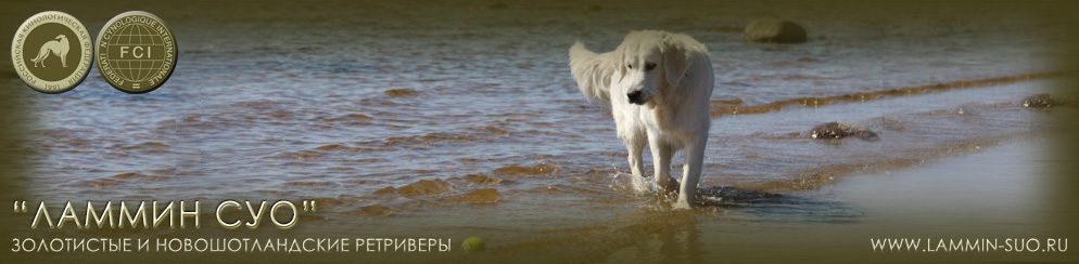 ���������� ��������� ������ ��� ������ �����