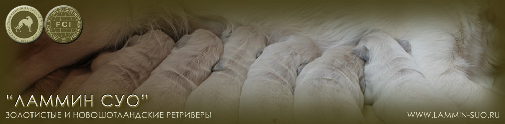 ���������� ��������� ������ ��� ������ �