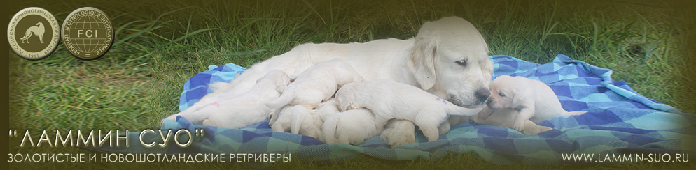 ���������� ��������� ������ ��� ������ �