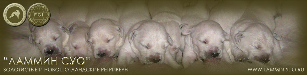 ���������� ��������� ������ ��� ������ �