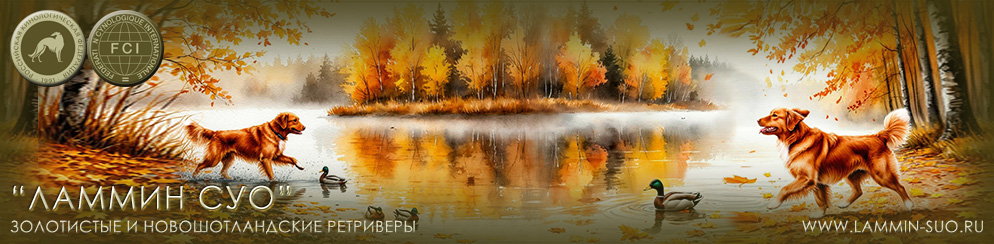 ������� ������ ��������������� ��������