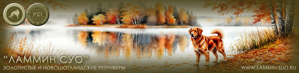 ��������������� ��������, �������� ������