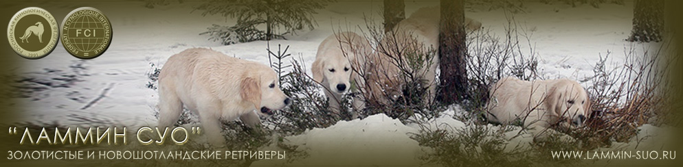 ���������� ������� ������ ��� ������ �